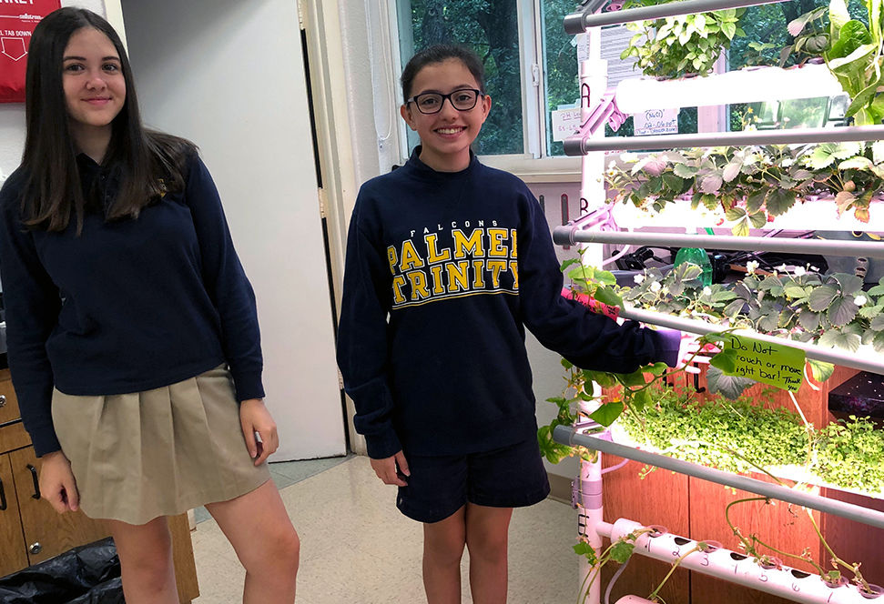 PTS students admiring the strawberries they cultivated hydroponically